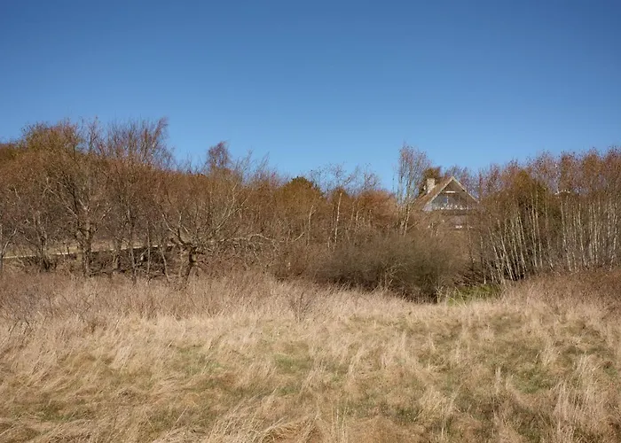 Awesome In With 4 Bedrooms And Internet *